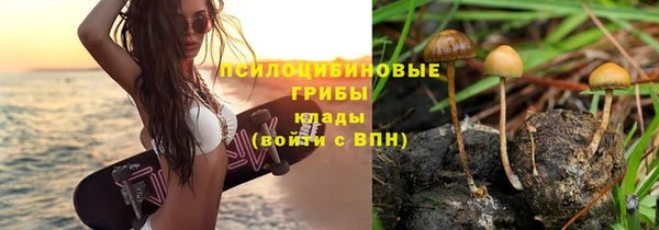 дурь Семёнов