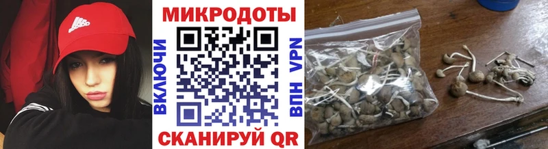 Галлюциногенные грибы Psilocybe  Купить  Хилок 